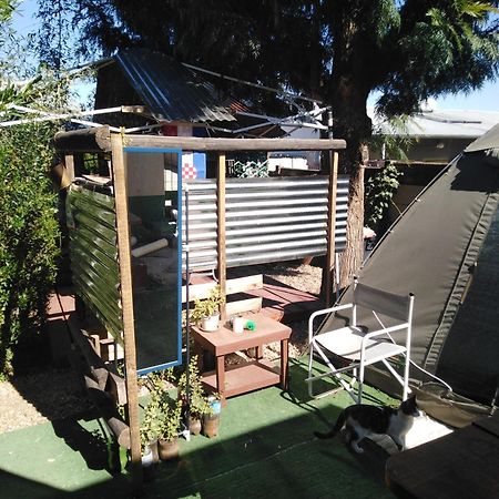 Xenia Bed & Breakfast Windhoek Eksteriør bilde