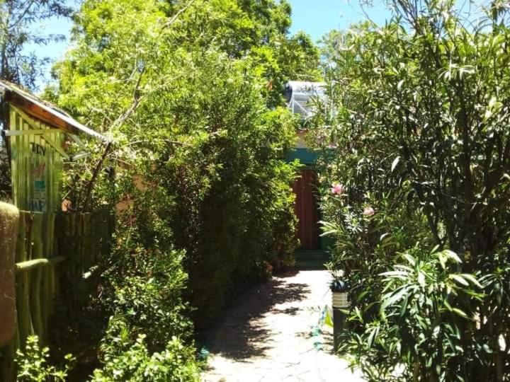 Xenia Bed & Breakfast Windhoek Eksteriør bilde